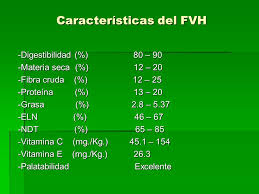 caracteristicas del forraje verde hidroponico